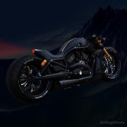 Noir Series: Murdered Harley VRSC