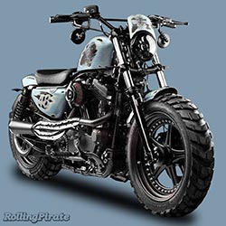 Harley Custom Offroad Motorcycle