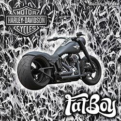 Harley Davidson Fatboy Pirate Motorycle