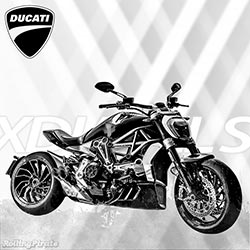 Ducati XDiavel S Poster by Rolling Pirate